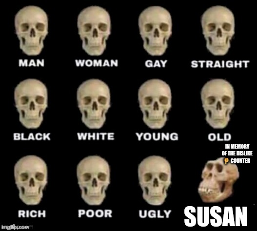 idiot skull | IN MEMORY OF THE DISLIKE 👎 COUNTER; SUSAN | image tagged in idiot skull | made w/ Imgflip meme maker