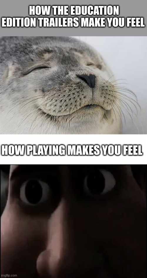 HOW THE EDUCATION EDITION TRAILERS MAKE YOU FEEL; HOW PLAYING MAKES YOU FEEL | image tagged in memes,satisfied seal,titan staring | made w/ Imgflip meme maker