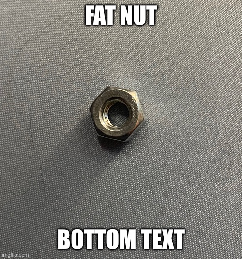 FAT NUT; BOTTOM TEXT | made w/ Imgflip meme maker