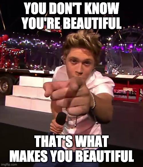 One Direction | YOU DON'T KNOW YOU'RE BEAUTIFUL; THAT'S WHAT MAKES YOU BEAUTIFUL | image tagged in one direction | made w/ Imgflip meme maker