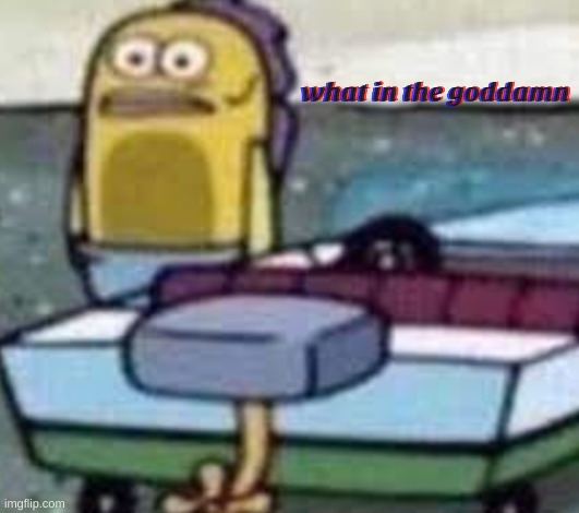 what in the goddamn | image tagged in what in the goddamn | made w/ Imgflip meme maker