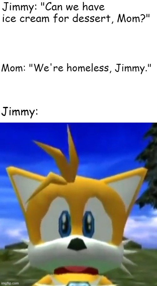 Poor Jimmy.... | Jimmy: "Can we have ice cream for dessert, Mom?"; Mom: "We're homeless, Jimmy."; Jimmy: | image tagged in dreamcast tails,tails,ice cream,mother and son,sonic,sonic the hedgehog | made w/ Imgflip meme maker