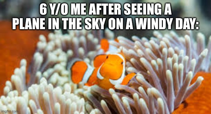 Everyone does it | 6 Y/O ME AFTER SEEING A PLANE IN THE SKY ON A WINDY DAY: | image tagged in nemo | made w/ Imgflip meme maker