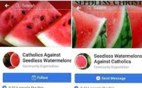 High Quality catholics vs seedless watermelons Blank Meme Template
