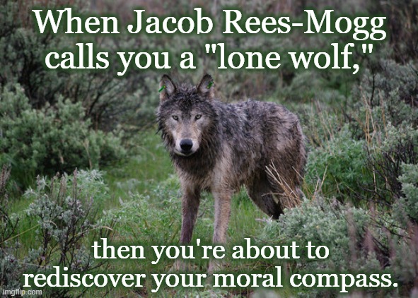 Lone wolf on the path to Recovery |  When Jacob Rees-Mogg calls you a "lone wolf,"; then you're about to rediscover your moral compass. | image tagged in david davies,rees-mogg,lonely,think outside the box,morals,political compass | made w/ Imgflip meme maker