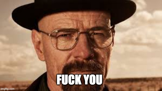 say my name Heisenberg | FUCK YOU | image tagged in say my name heisenberg | made w/ Imgflip meme maker