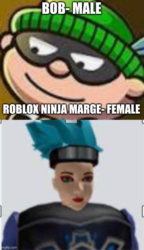 BOB- MALE ROBLOX NINJA MARGE- FEMALE | made w/ Imgflip meme maker