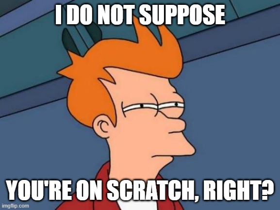 Futurama Fry Meme | I DO NOT SUPPOSE YOU'RE ON SCRATCH, RIGHT? | image tagged in memes,futurama fry | made w/ Imgflip meme maker