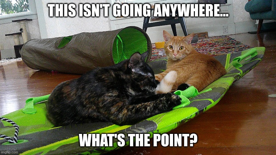 What's the point? |  THIS ISN'T GOING ANYWHERE... WHAT'S THE POINT? | image tagged in cats,kittens,snow,sled,winter,orangecat | made w/ Imgflip meme maker