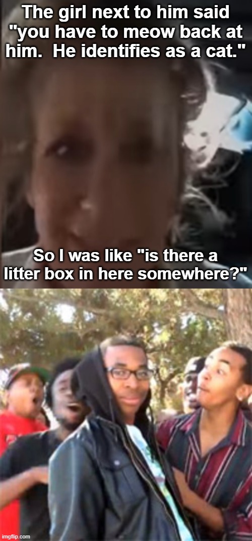 The girl next to him said "you have to meow back at him.  He identifies as a cat."; So I was like "is there a litter box in here somewhere?" | image tagged in black boy roast | made w/ Imgflip meme maker