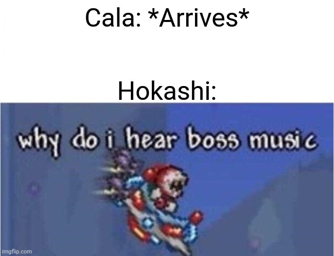 Cala is my newest oc | Cala: *Arrives*; Hokashi: | image tagged in why do i hear boss music | made w/ Imgflip meme maker