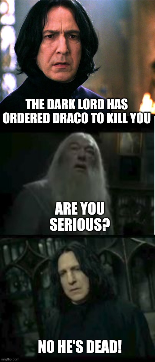 THE DARK LORD HAS ORDERED DRACO TO KILL YOU; ARE YOU SERIOUS? NO HE'S DEAD! | image tagged in harry potter,snape,dumbledore,draco,sirius black | made w/ Imgflip meme maker