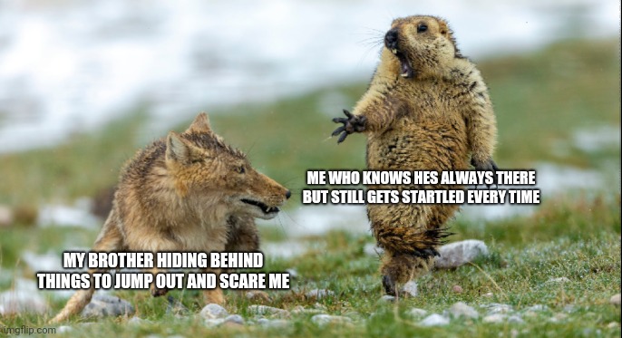 Scared gopher | ME WHO KNOWS HES ALWAYS THERE BUT STILL GETS STARTLED EVERY TIME; MY BROTHER HIDING BEHIND THINGS TO JUMP OUT AND SCARE ME | image tagged in scared gopher,jump scare,annoying brother | made w/ Imgflip meme maker