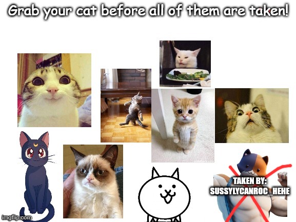 nice | TAKEN BY: SUSSYLYCANROC_HEHE | image tagged in cats | made w/ Imgflip meme maker