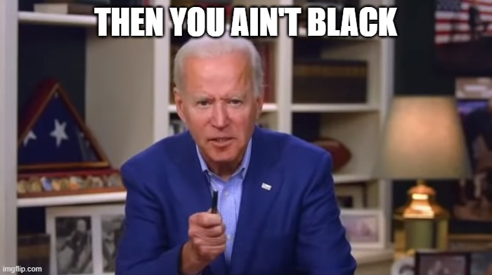 Biden You Ain't Black | THEN YOU AIN'T BLACK | image tagged in biden you ain't black | made w/ Imgflip meme maker