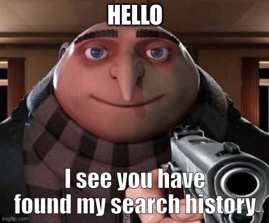 Chill im joking | HELLO; I see you have found my search history | image tagged in gru gun | made w/ Imgflip meme maker
