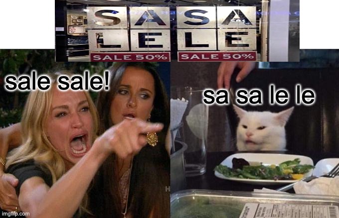 Sa sa le le | sale sale! sa sa le le | image tagged in memes,woman yelling at cat,funny memes | made w/ Imgflip meme maker