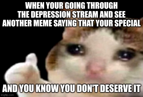 :( true tho | WHEN YOUR GOING THROUGH THE DEPRESSION STREAM AND SEE ANOTHER MEME SAYING THAT YOUR SPECIAL; AND YOU KNOW YOU DON'T DESERVE IT | image tagged in sad cat thumbs up,sad,memes | made w/ Imgflip meme maker