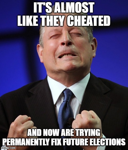 Al gore | IT'S ALMOST LIKE THEY CHEATED AND NOW ARE TRYING PERMANENTLY FIX FUTURE ELECTIONS | image tagged in al gore | made w/ Imgflip meme maker