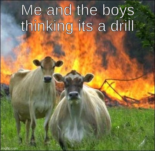 Evil Cows | Me and the boys thinking its a drill | image tagged in memes,evil cows | made w/ Imgflip meme maker