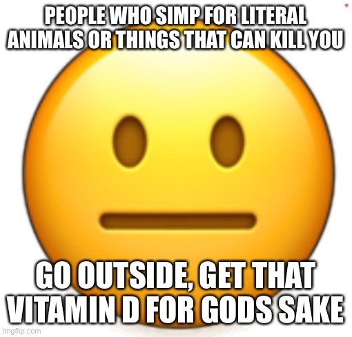 Dang bro.. | PEOPLE WHO SIMP FOR LITERAL ANIMALS OR THINGS THAT CAN KILL YOU; GO OUTSIDE, GET THAT VITAMIN D FOR GODS SAKE | image tagged in dang bro | made w/ Imgflip meme maker