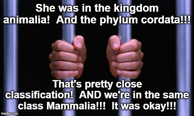 zoophiles YAYAYAYY | She was in the kingdom animalia!  And the phylum cordata!!! That's pretty close classification!  AND we're in the same class Mammalia!!!  It was okay!!! | image tagged in prison bars | made w/ Imgflip meme maker