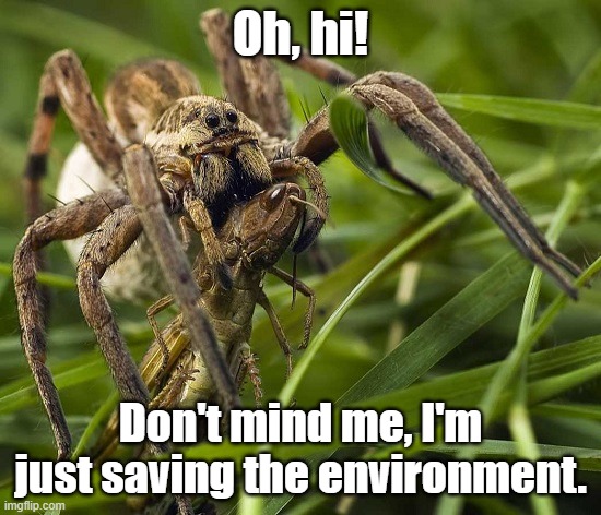 Oh, hi! Don't mind me, I'm just saving the environment. | made w/ Imgflip meme maker