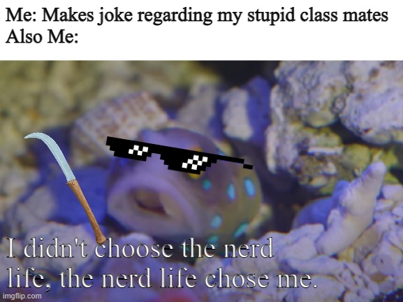 Blue Spotted Jawfish | Me: Makes joke regarding my stupid class mates
Also Me:; I didn't choose the nerd life, the nerd life chose me. | image tagged in blue spotted jawfish | made w/ Imgflip meme maker