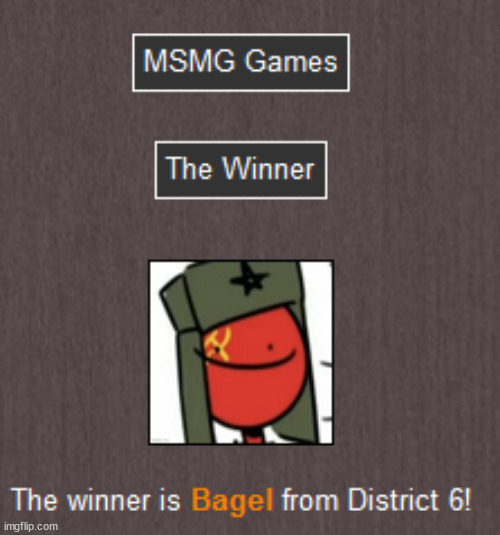 WE HAVE A WINNER!!! | image tagged in msmg games | made w/ Imgflip meme maker
