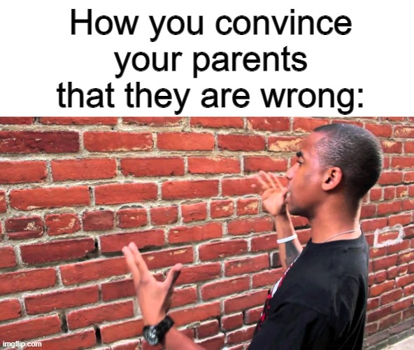 relatable. |  How you convince your parents that they are wrong: | image tagged in man talking to wall | made w/ Imgflip meme maker