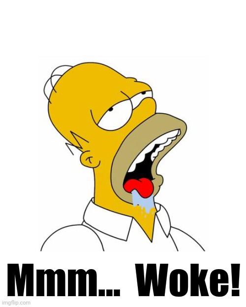 Homer Simpson Drooling | Mmm...  Woke! | image tagged in homer simpson drooling | made w/ Imgflip meme maker