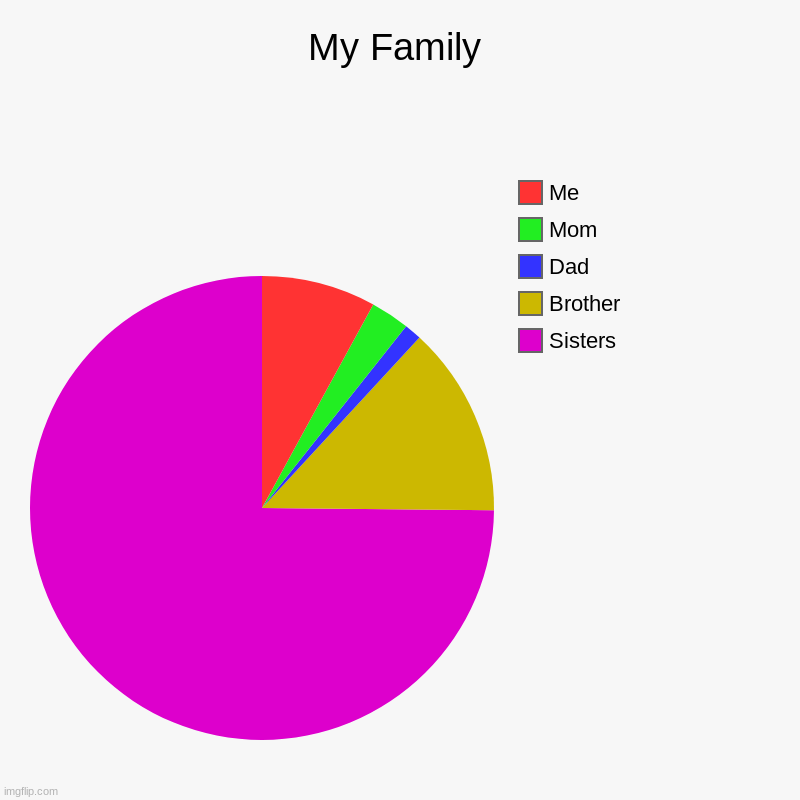 My Family | My Family | Sisters, Brother, Dad, Mom, Me | image tagged in its family | made w/ Imgflip chart maker