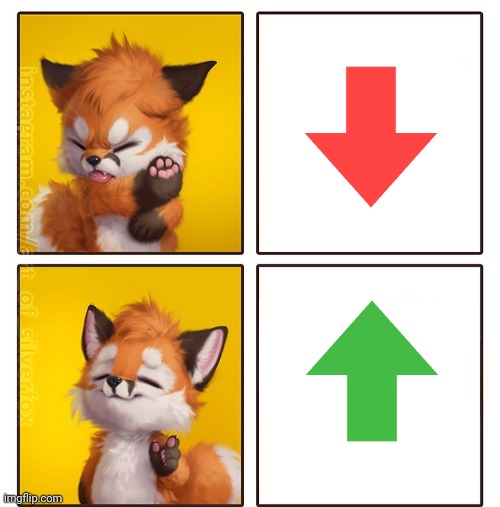 Up votes rock!! | image tagged in fox yes no template | made w/ Imgflip meme maker