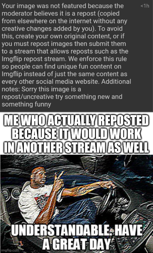 ME WHO ACTUALLY REPOSTED BECAUSE IT WOULD WORK IN ANOTHER STREAM AS WELL | image tagged in understandable have a great day | made w/ Imgflip meme maker