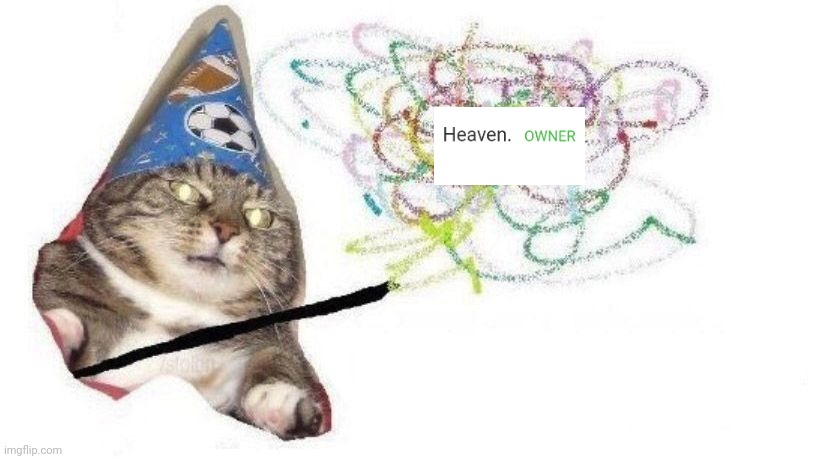 Wizard Cat | image tagged in wizard cat | made w/ Imgflip meme maker