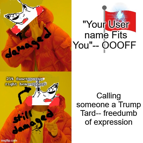 I Got a Comment Timer, but you are Still Damaged ROFL Change Your username, Dumbass | "Your User name Fits You"-- OOOFF; 25% functioning 
right hemi-sphere; Calling someone a Trump Tard-- freedumb of expression | image tagged in memes,drake hotline bling | made w/ Imgflip meme maker