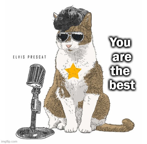 You 
are
the 
best | made w/ Imgflip meme maker