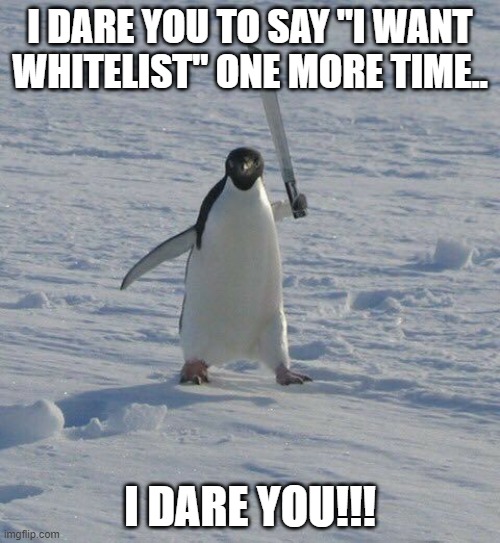 Angry Penguin | I DARE YOU TO SAY "I WANT WHITELIST" ONE MORE TIME.. I DARE YOU!!! | image tagged in whitelist,wl,angry | made w/ Imgflip meme maker