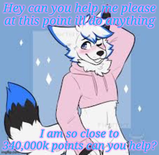 Please | Hey can you help me please at this point ill do anything; I am so close to 340,000k points can you help? | image tagged in femboy furry | made w/ Imgflip meme maker