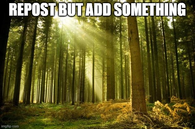 transparent images only | REPOST BUT ADD SOMETHING | image tagged in sunlit forest | made w/ Imgflip meme maker