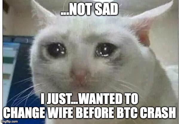 oh well | ...NOT SAD; I JUST...WANTED TO CHANGE WIFE BEFORE BTC CRASH | image tagged in crying cat | made w/ Imgflip meme maker