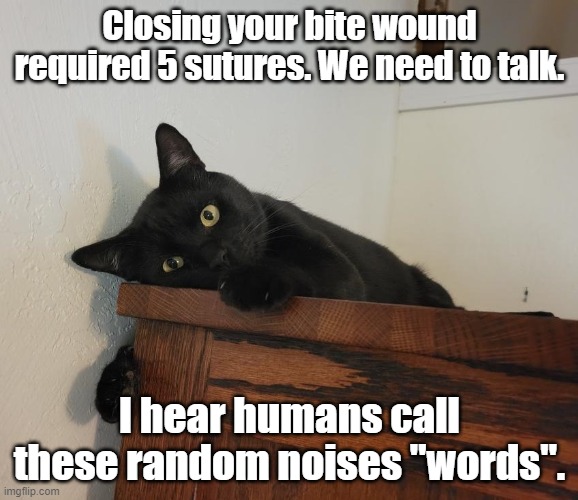 Pedro's a strong and bitey type. | Closing your bite wound required 5 sutures. We need to talk. I hear humans call these random noises "words". | image tagged in really | made w/ Imgflip meme maker