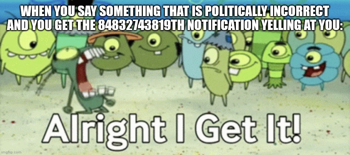 THE WAY YOU TEACH SOMEONE TO CHANGE THEIR VIEWS IS TO EXPLAIN WHY THEY ARE WRONG | WHEN YOU SAY SOMETHING THAT IS POLITICALLY INCORRECT AND YOU GET THE 84832743819TH NOTIFICATION YELLING AT YOU: | image tagged in alright i get it | made w/ Imgflip meme maker