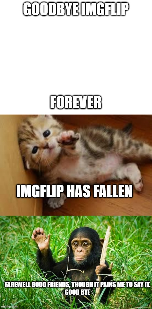 Farwell. |  GOODBYE IMGFLIP; FOREVER; IMGFLIP HAS FALLEN; FAREWELL GOOD FRIENDS, THOUGH IT PAINS ME TO SAY IT.
GOOD BYE | image tagged in blank white template,sad kitten goodbye,goodbye | made w/ Imgflip meme maker