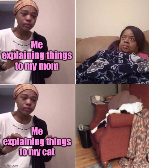 Stay calm everyone | Me explaining things to my mom; Me explaining things to my cat | image tagged in me explaining to my mom,cats,memes,funny | made w/ Imgflip meme maker