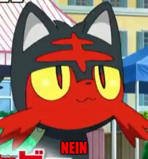 nein | NEIN | image tagged in litten,nein | made w/ Imgflip meme maker