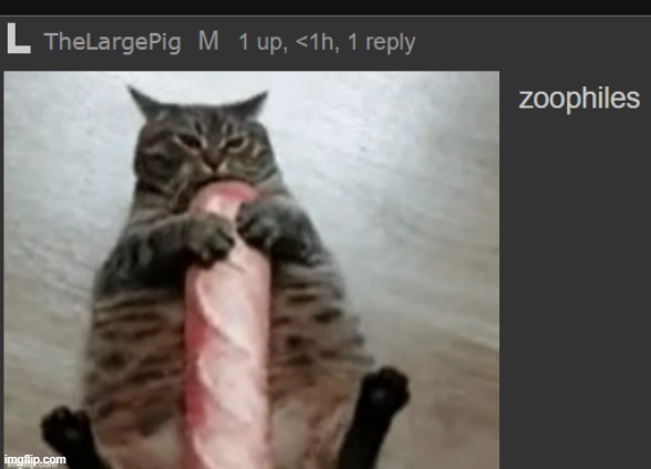 taking a picture of my comment and posting it because I'm slimy. | made w/ Imgflip meme maker