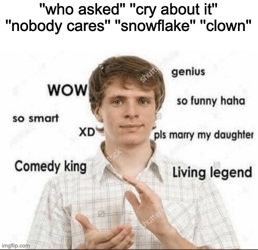 top 10 most used insults in the world | ''who asked'' ''cry about it'' ''nobody cares'' ''snowflake'' ''clown'' | image tagged in wow genius so smart so funny | made w/ Imgflip meme maker