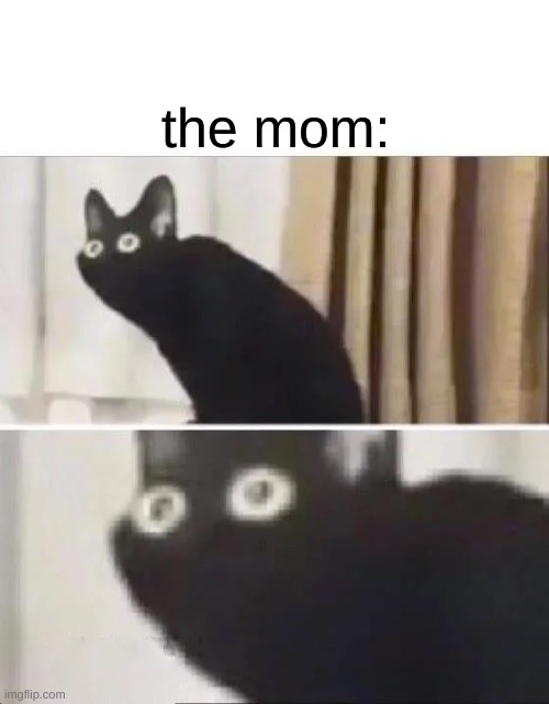 Oh No Black Cat | the mom: | image tagged in oh no black cat | made w/ Imgflip meme maker