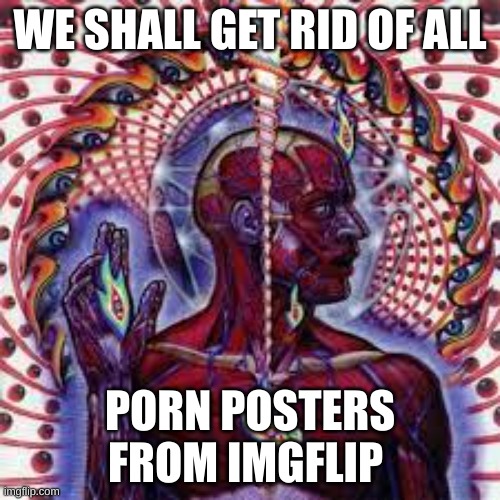TOOL template | WE SHALL GET RID OF ALL; PORN POSTERS FROM IMGFLIP | made w/ Imgflip meme maker